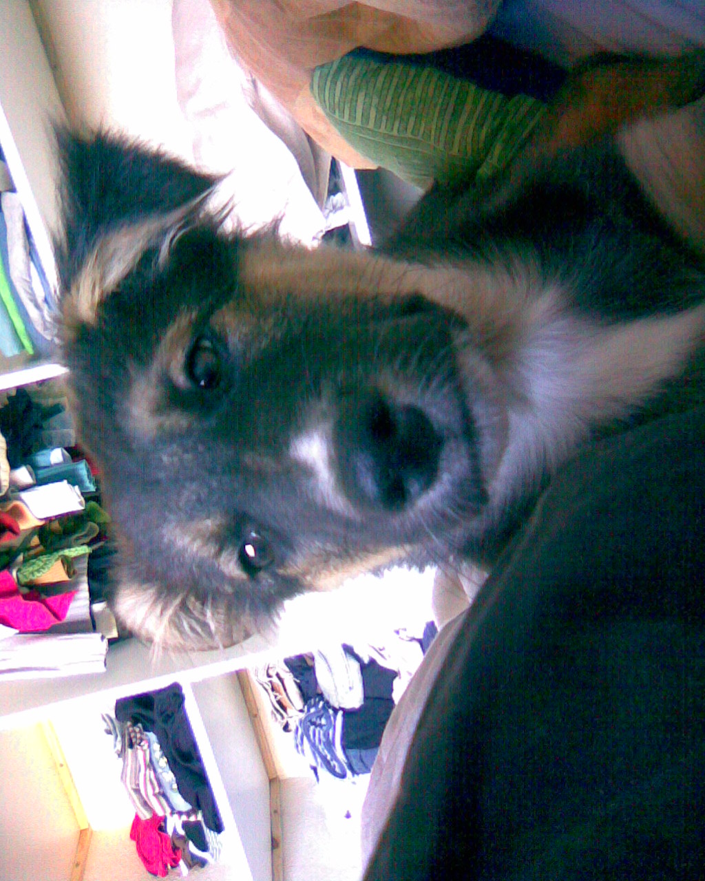 fotos/0000-00-00 - Infancia/Imagen051.jpg